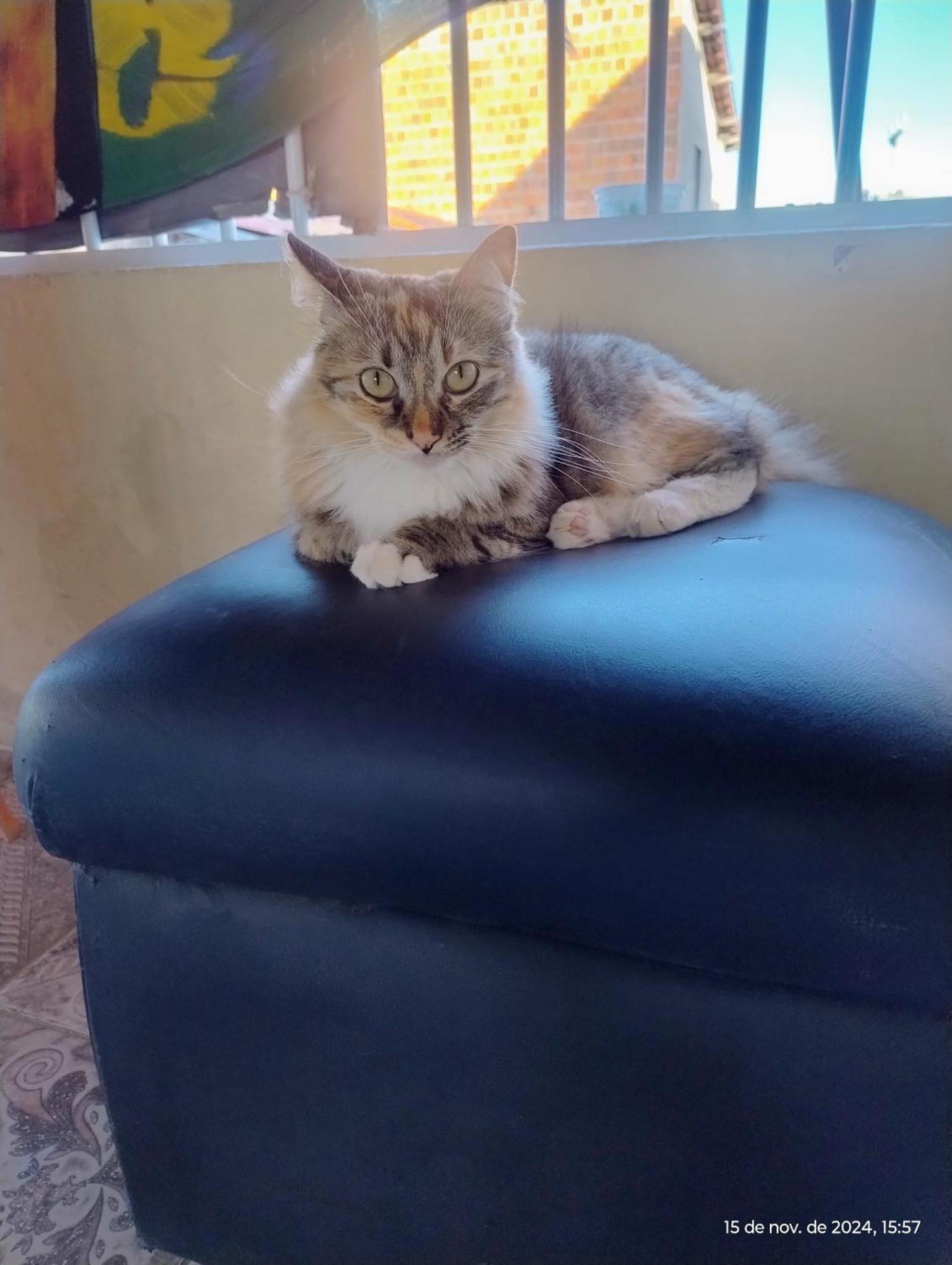 Hostel Xama Flecheiras Luaran gambar